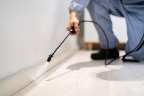 Licensed Cockroach Control service in Prince Frederick, MD - Nex Pest Control