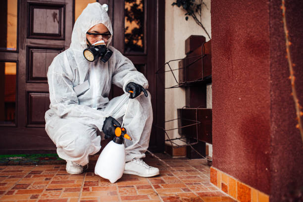 Reliable Cockroach Control contractor in Prince Frederick, MD by Nex Pest Control
